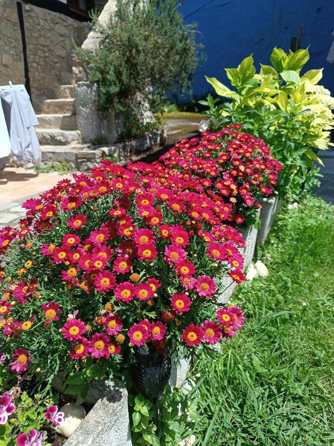 Romantico Acogedor Apartamento En Llanes Eksteriør billede